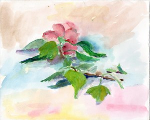 Camellia Branch