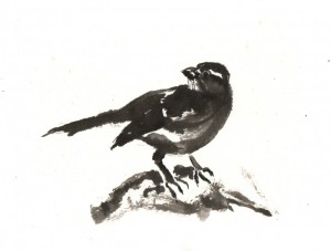 Swallow 02