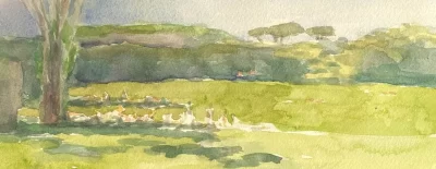villa Ada 2