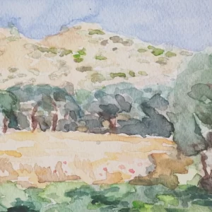 Genuri Sardinia Italy 01
