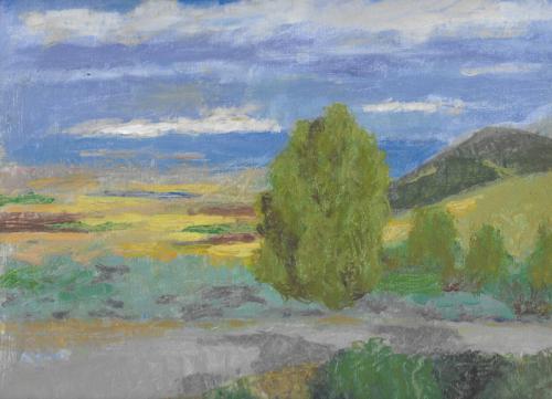 Tel Yizre'el Israel 03