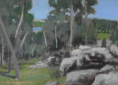 Mt. Gilboa Israel 03