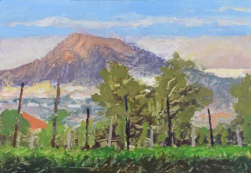 Vesuvio from Palma Campania