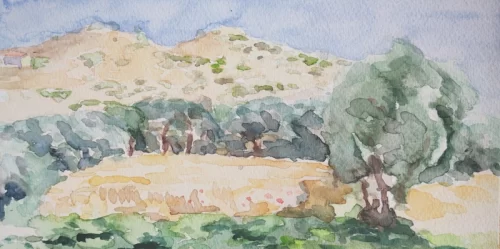 Genuri Sardinia Italy 01