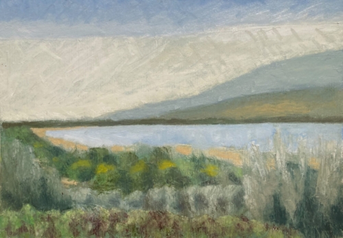 Lago Trasimeno 10