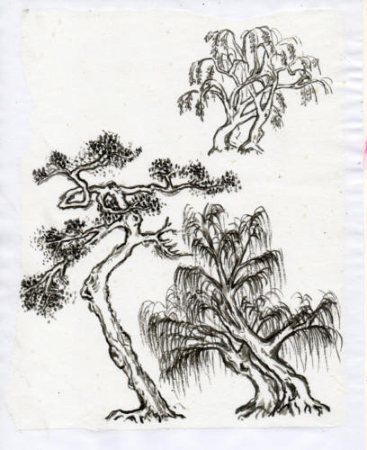 Exercise 9 from The Mustard Seed