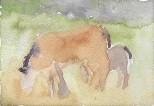 Parco delle Sabine 02